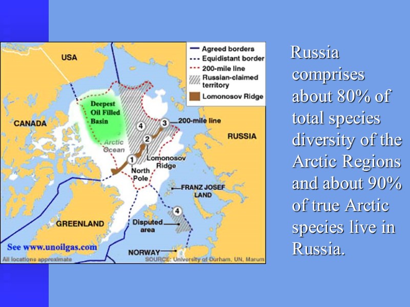 Russia comprises  about 80% of total species diversity of the Arctic Regions and
